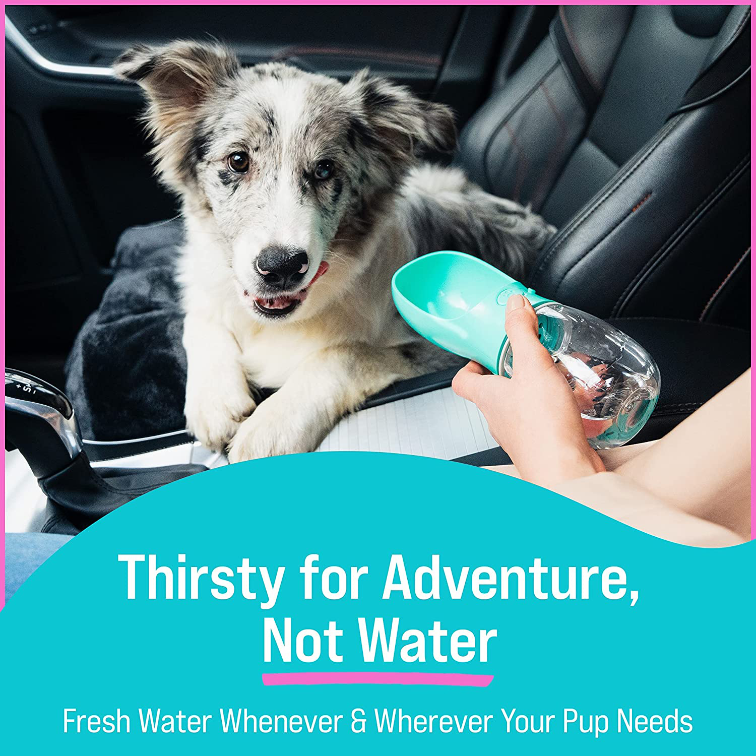12oz Dog Water Bottle - Image 5