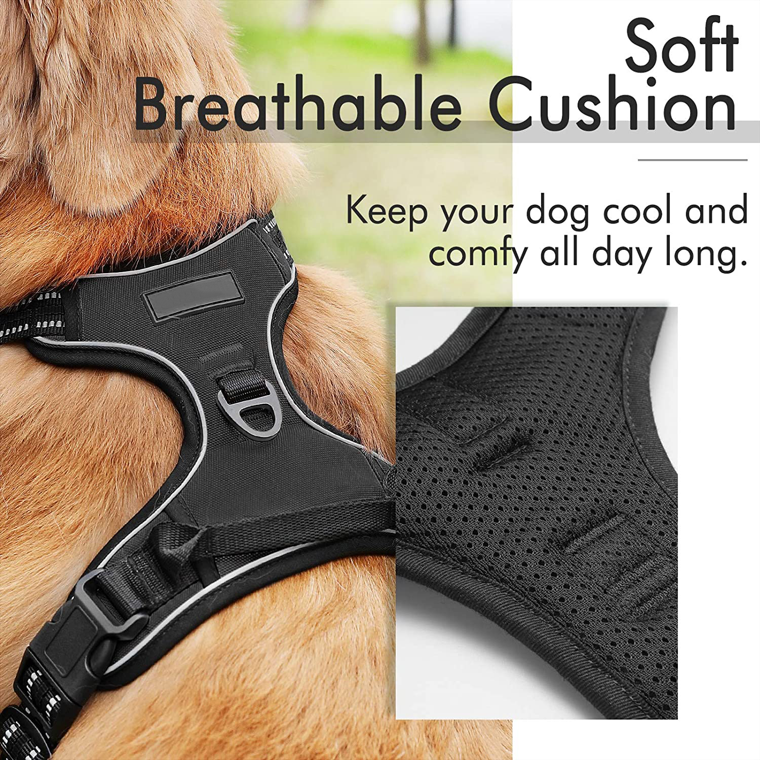 Pet Vest Harness - Image 12