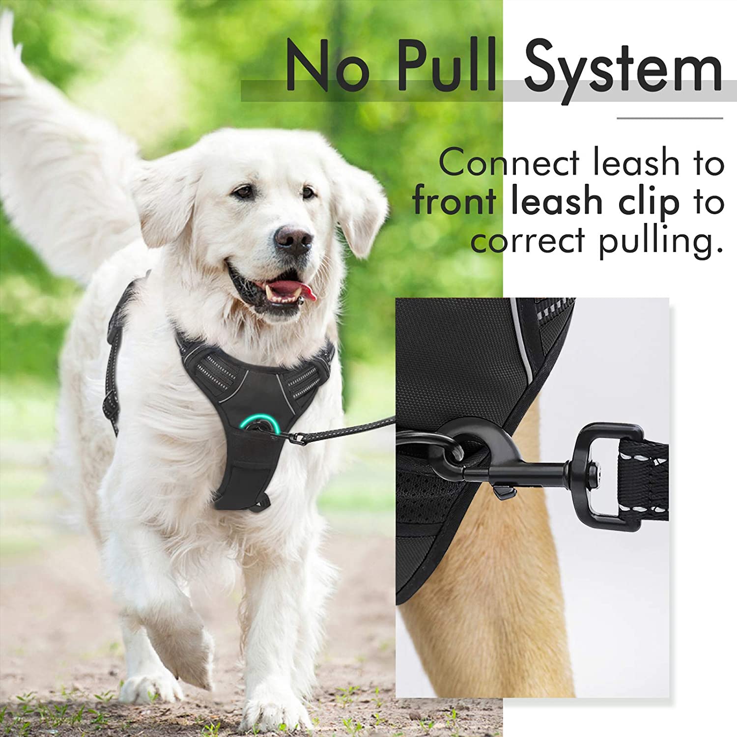 Pet Vest Harness - Image 14