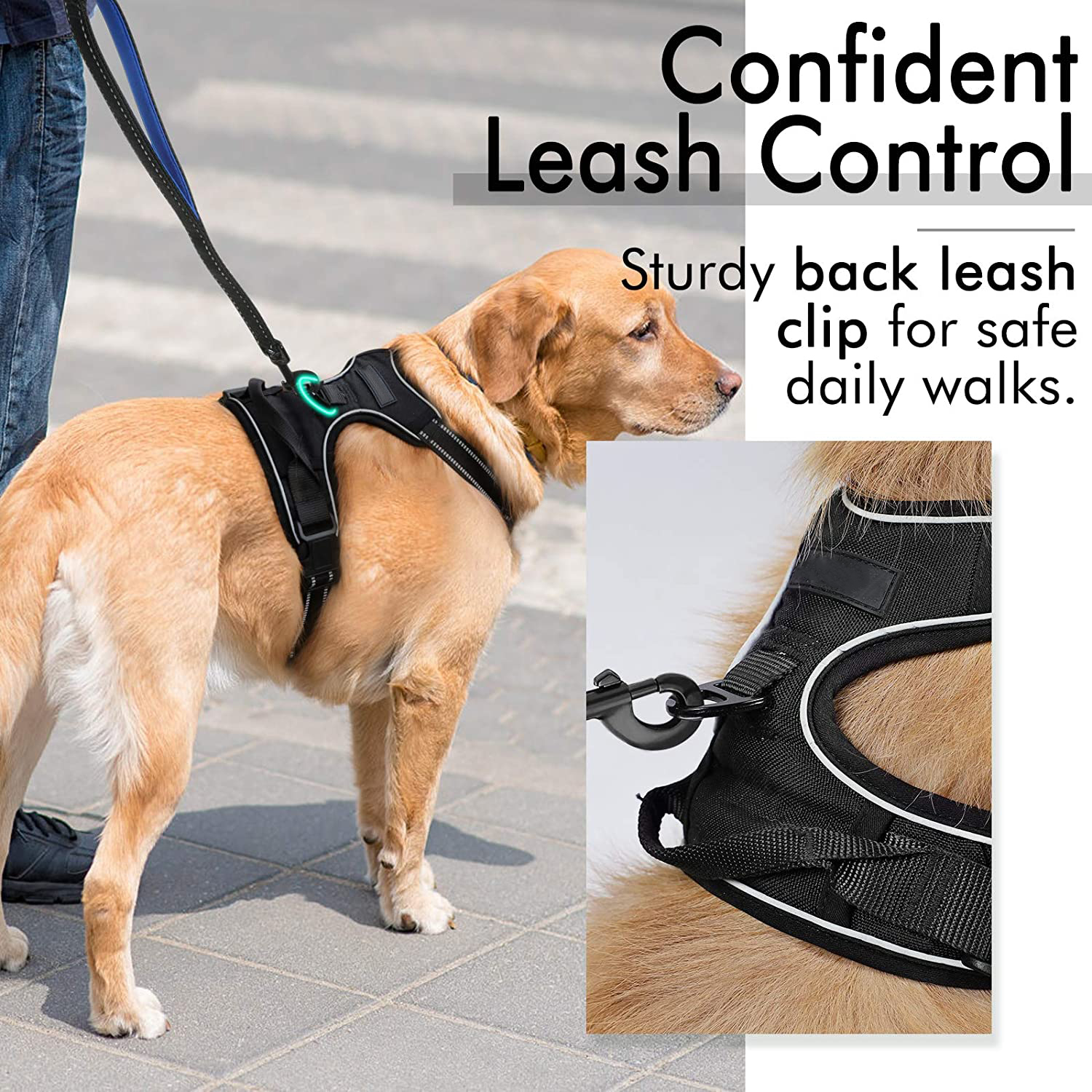 Pet Vest Harness - Image 16