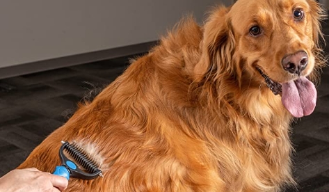 Pet Grooming Brush - Image 12
