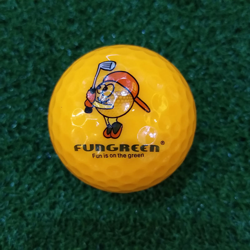 Golf Ball 392/352 Hole Training - Image 4