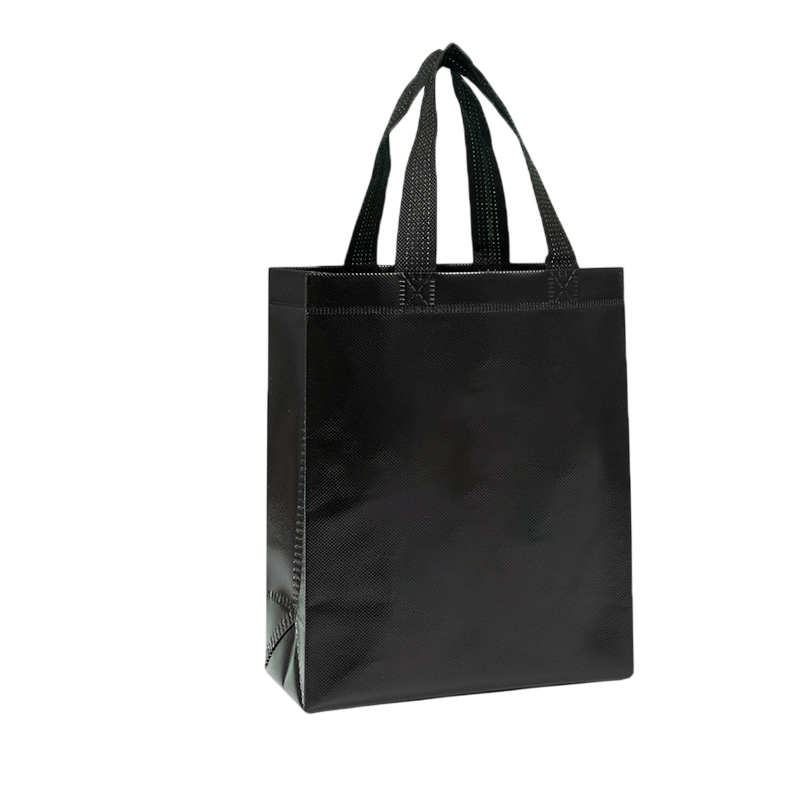 Shiny Reusable Gift Bag - Image 3