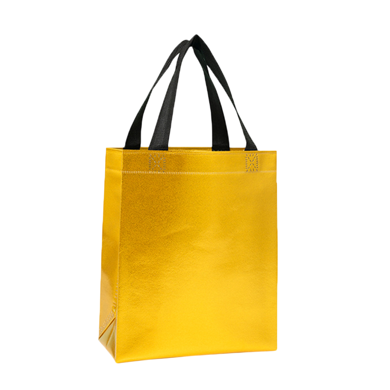 Shiny Reusable Gift Bag - Image 8