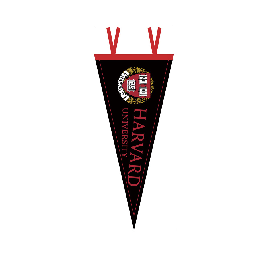 Custom Felt Pennants Flag - Image 3