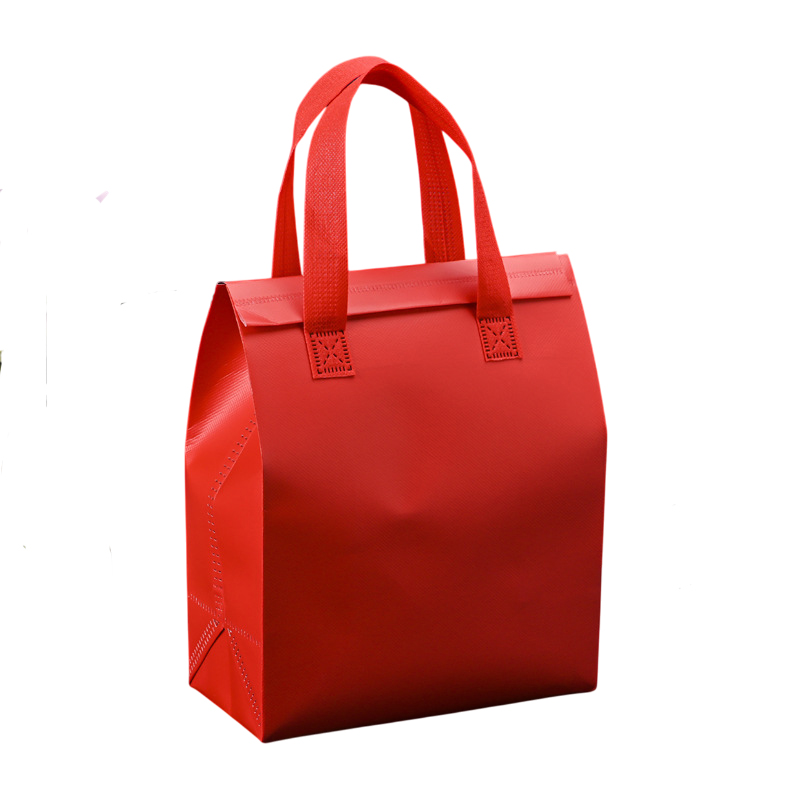 Foil-Lined Insulated Bag - Image 9