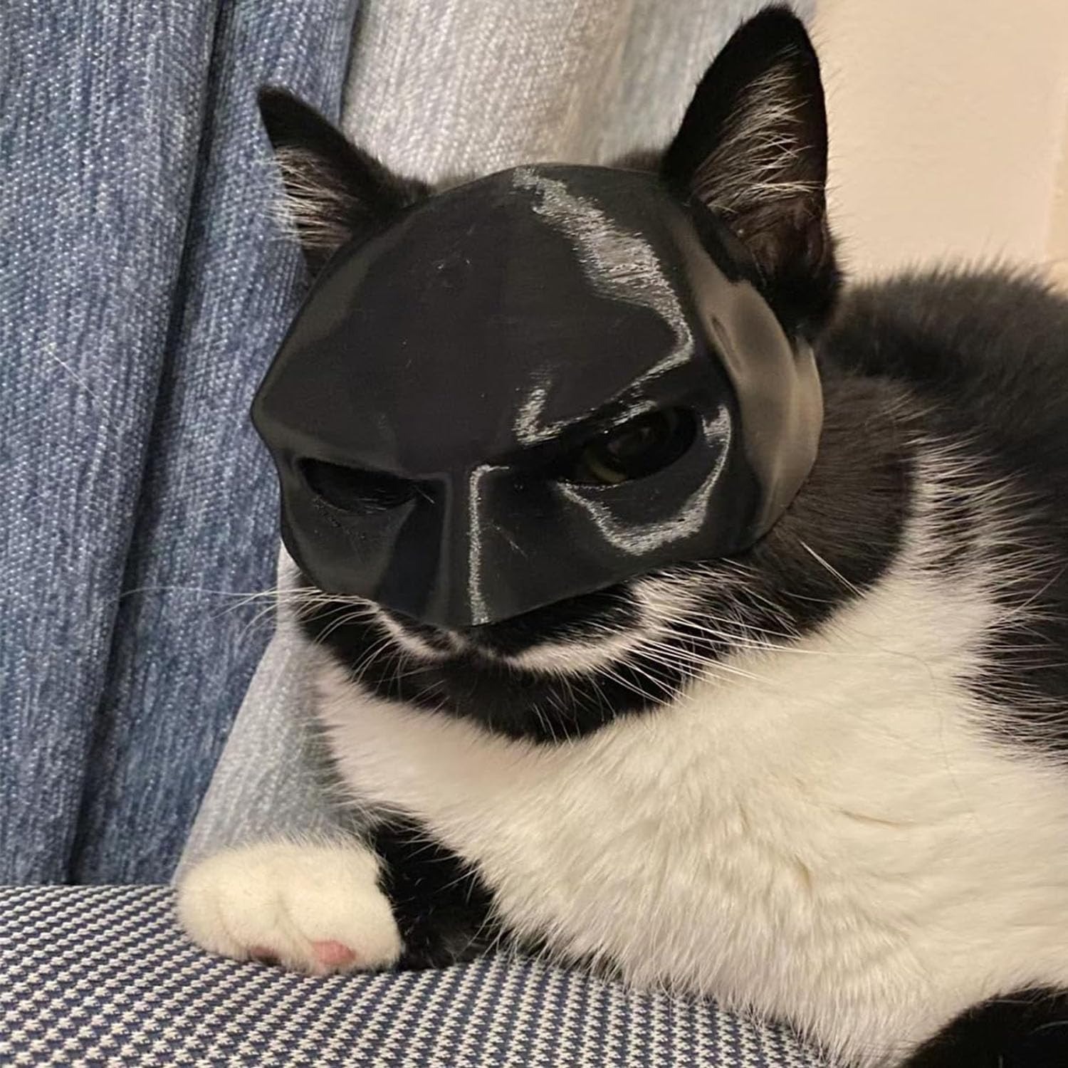 Bat Mask for Cats - Image 4