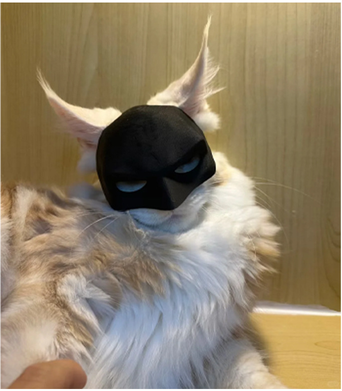 Bat Mask for Cats - Image 5