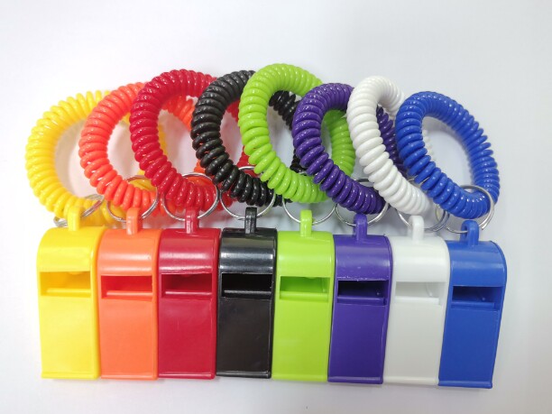 Sports Whistle With Bracelet Keychain - Image 4